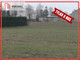 Rolny na sprzedaż - Żygląd, Papowo Biskupie, Chełmiński, 7000 m², 349 000 PLN, NET-445098