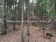 Leśne na sprzedaż - Pogorzany, Jodłownik, Limanowski, 2900 m², 25 000 PLN, NET-ARK-GS-18205