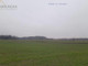 Rolny na sprzedaż - Błogosławie, Zakroczym, Nowodworski, 3000 m², 240 000 PLN, NET-7352
