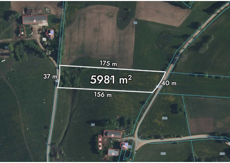 Działka na sprzedaż - Wiżgóry, Wiżajny, Suwalski, 5981 m², 119 000 PLN, NET-171/8652/OGS