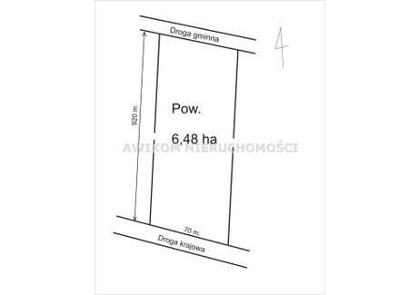 Działka na sprzedaż - Miedniewice, Skierniewice, Skierniewicki, 64 800 m², 899 000 PLN, NET-AKS-GS-55272