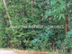 Leśne na sprzedaż - Książenice, Grodzisk Mazowiecki, Grodziski, 4000 m², 600 000 PLN, NET-AKM-GS-54853-1