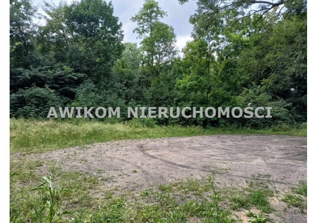 Działka na sprzedaż - Strobów, Skierniewice, Skierniewicki, 17 095 m², 499 900 PLN, NET-AKS-GS-55210-2