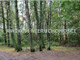 Leśne na sprzedaż - Osowiec, Żabia Wola, Grodziski, 7688 m², 300 000 PLN, NET-AKM-GS-50123-5