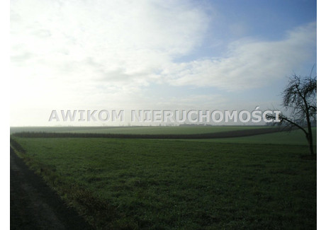 Działka na sprzedaż - Nowy Kawęczyn, Skierniewicki, 4400 m², 110 000 PLN, NET-AKM-GS-51222-10