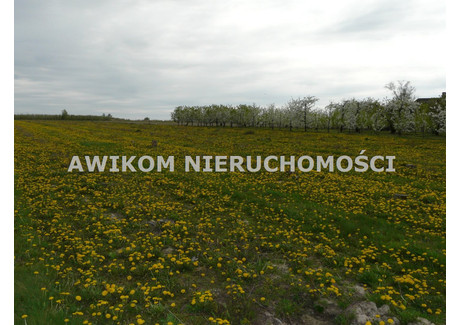 Działka na sprzedaż - Wycinka Wolska, Kowiesy, Skierniewicki, 10 335 m², 124 020 PLN, NET-AKM-GS-55118-29