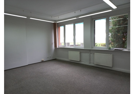 Biuro do wynajęcia - Fabryczna, Wrocław, 150 m², 6450 PLN, NET-4210358