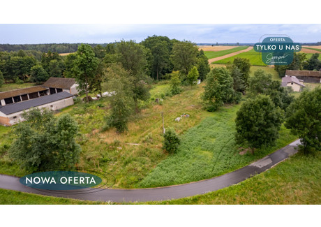 Działka na sprzedaż - Magnusy, Wodzierady, Łaski, 3713 m², 159 360 PLN, NET-175989