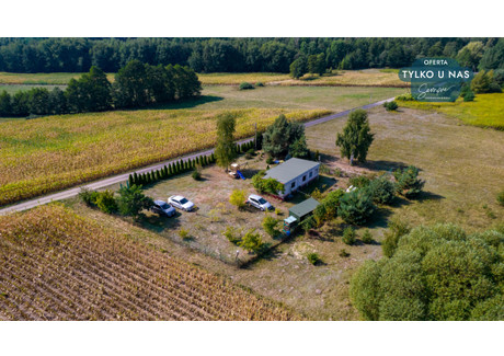 Działka na sprzedaż - Kiki, Wartkowice, Poddębicki, 3733 m², 189 360 PLN, NET-340955