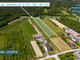 Rolny na sprzedaż - Zielonka, Gielniów, Przysuski, 8100 m², 300 360 PLN, NET-842010