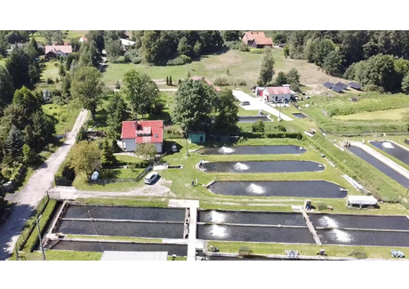 Gospodarstwo rolne na sprzedaż - Grunwald, Ostródzki, 26 102 m², 4 800 000 PLN, NET-786