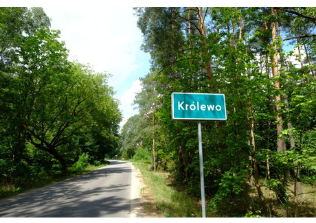 Działka na sprzedaż - Królewo, Joniec, Płoński, 9430 m², 149 000 PLN, NET-DBI669176