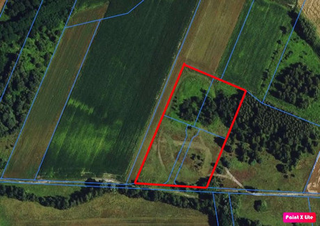 Działka na sprzedaż - Kampinos, Warszawski Zachodni, 13 330 m², 1 290 000 PLN, NET-DBI780450051