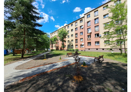 Mieszkanie na sprzedaż - Halemba, Ruda Śląska, 50,8 m², 267 500 PLN, NET-4524/12083/OMS