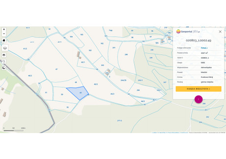 Działka na sprzedaż - Kudowa-Zdrój, Kłodzki, 4347 m², 1 138 914 PLN, NET-62/12083/OGS