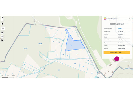 Działka na sprzedaż - Kudowa-Zdrój, Kłodzki, 14 309 m², 3 748 958 PLN, NET-53/12083/OGS