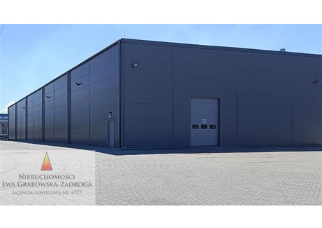 Magazyn do wynajęcia - Marynarki Polskiej Letnica, Gdańsk, 960 m², 43 200 PLN, NET-GE01497