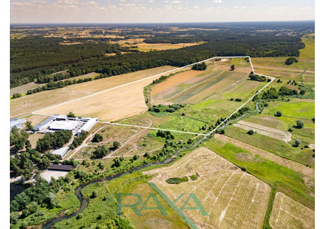 Działka na sprzedaż - Rasztów, Klembów, Wołomiński, 290 000 m², 78 300 000 PLN, NET-10/15145/OGS