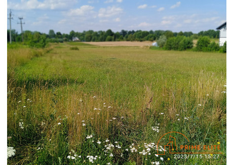 Działka na sprzedaż - Janów, Mińsk Mazowiecki, Miński, 9810 m², 790 000 PLN, NET-PE616984016