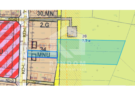 Działka na sprzedaż - Grudzice, Opole, 9500 m², 620 000 PLN, NET-62/17022/OGS