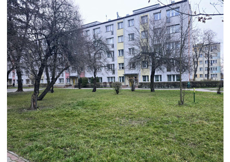 Mieszkanie na sprzedaż - Mazurska Ksm, Kielce, 57 m², 389 000 PLN, NET-63