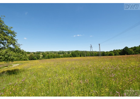 Działka na sprzedaż - Tarnawa, Łapanów, Bocheński, 1600 m², 89 000 PLN, NET-3/11046/OGS