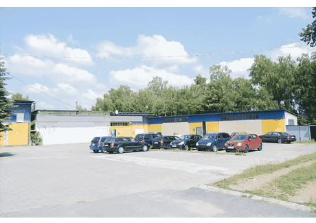 Magazyn na sprzedaż - Meksyk, Rybnik, 1599 m², 1 900 000 PLN, NET-23