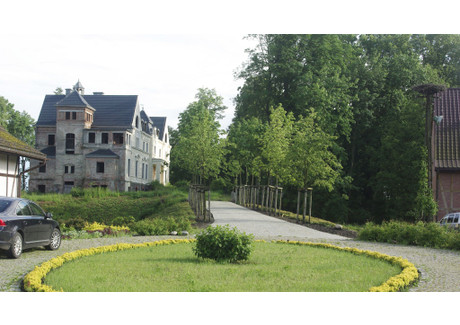 Dom na sprzedaż - Dobrzany, Stargardzki (pow.), 1800 m², 4 500 000 PLN, NET-162