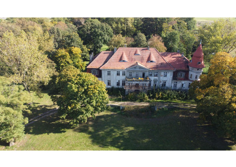 Dom na sprzedaż - Granowo, Granowo (Gm.), Grodziski (Pow.), 1350 m², 1 800 000 PLN, NET-171