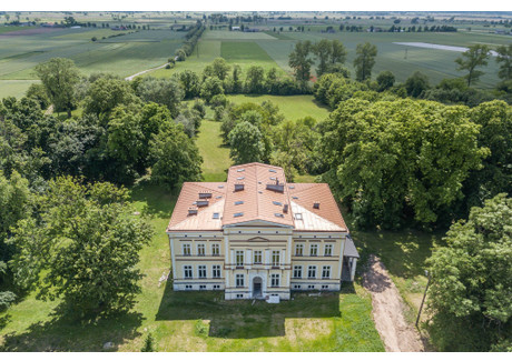 Dom na sprzedaż - Dąbie, Kolski (pow.), 3200 m², 4 990 000 PLN, NET-176