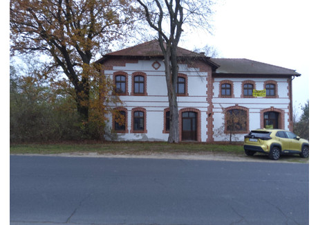 Dom na sprzedaż - Pleszew, Pleszew (gm.), Pleszewski (pow.), 360 m², 680 000 PLN, NET-142