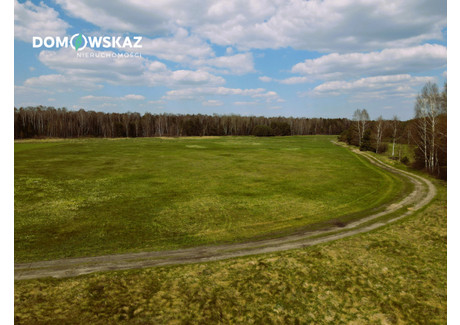 Działka na sprzedaż - Brudzowice, Siewierz, Będziński, 12 228 m², 590 000 PLN, NET-DOM184456