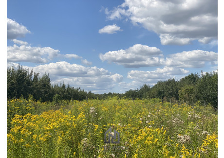 Działka na sprzedaż - Nadbrzeż, Karczew, Otwocki, 10 500 m², 336 000 PLN, NET-804632