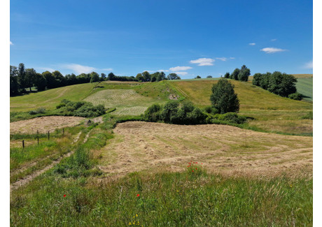 Działka na sprzedaż - Przodkowo, Kartuski, 1017 m², 149 000 PLN, NET-18/14966/OGS