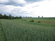 Rolny na sprzedaż - Zemborzyce, Lublin, 2780 m², 178 000 PLN, NET-967424