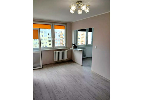 Mieszkanie na sprzedaż - Zaułek Rogoziński Różanka, Wrocław, 34 m², 470 000 PLN, NET-1475/13462/OMS