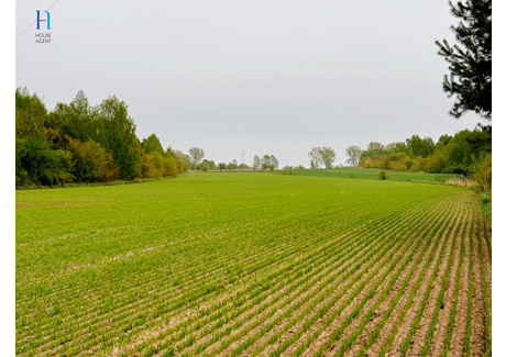 Działka na sprzedaż - Niedas Trzciniec Tuszyn, Łódzki Wschodni, 9297 m², 836 730 PLN, NET-HA109362