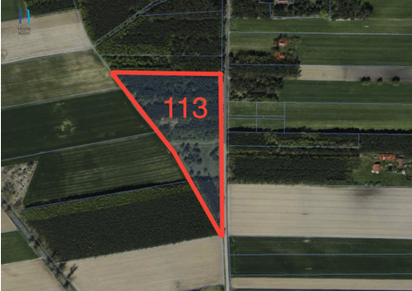 Działka na sprzedaż - Iwonie, Zadzim, Poddębicki, 27 100 m², 159 000 PLN, NET-HA611792