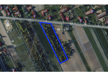 Działka na sprzedaż - Janów, Bełchatów, Bełchatowski, 6000 m², 239 000 PLN, NET-HA206070