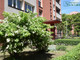 Mieszkanie na sprzedaż - Klonowa Zabrze, Zabrze M., 44 m², 279 000 PLN, NET-PKW-MS-103