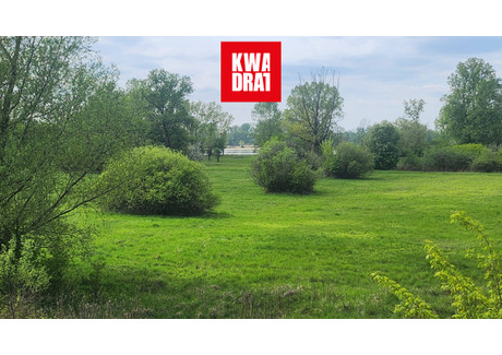 Działka na sprzedaż - Władysławów, Karczew, Otwocki, 4200 m², 252 000 PLN, NET-813016
