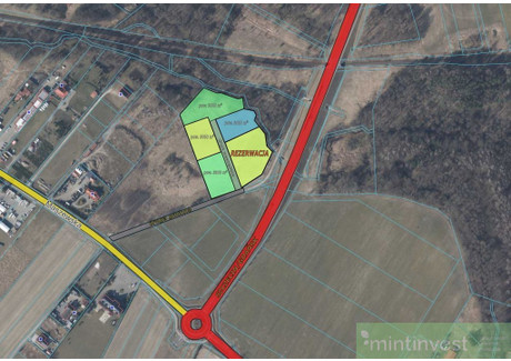 Działka na sprzedaż - Goleniów, Goleniowski, 3000 m², 195 000 PLN, NET-MNI21482