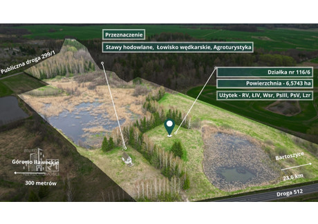 Działka na sprzedaż - Sołtysowizna Górowo Iławeckie, Bartoszycki, 31 393 m², 94 179 PLN, NET-4/15406/OGS