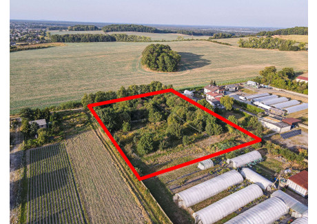 Działka na sprzedaż - Kozłowa Góra, Piekary Śląskie, 8000 m², 1 495 000 PLN, NET-7