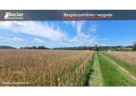 Działka na sprzedaż - Kczewo, Przodkowo, Kartuski, 1000 m², 220 000 PLN, NET-BU954559