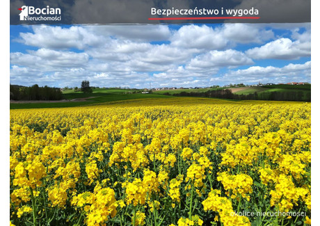 Działka na sprzedaż - Młynek Przodkowo, Kartuski, 1000 m², 200 000 PLN, NET-BU155526