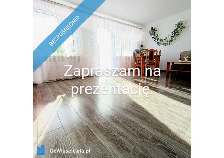 Mieszkanie na sprzedaż - Rataja Cieplice Śląskie-Zdrój, Jelenia Góra, 110 m², 899 000 PLN, NET-31491