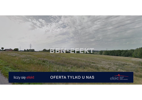 Działka na sprzedaż - Kaczyce, Zebrzydowice, Cieszyński, 11 123 m², 135 000 PLN, NET-BBN-GS-21042