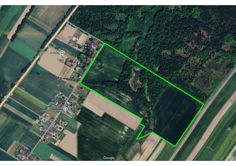 Działka na sprzedaż - Gliwicka Wilcza, Pilchowice, Gliwicki, 201 541 m², 24 200 000 PLN, NET-830379