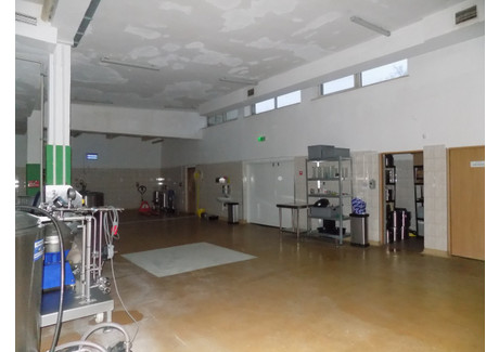 Hala do wynajęcia - Kosciuszki Legionowo, Legionowski, 600 m², 25 000 PLN, NET-830688